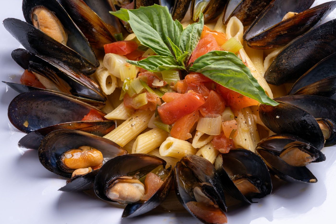Penne with tomato and basil ringed by mussels