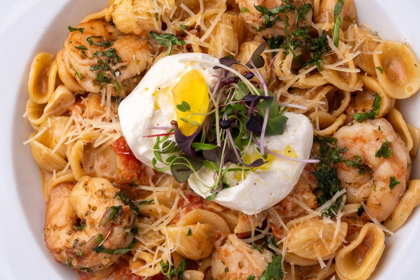 Shrimp orecchiette topped with burrata